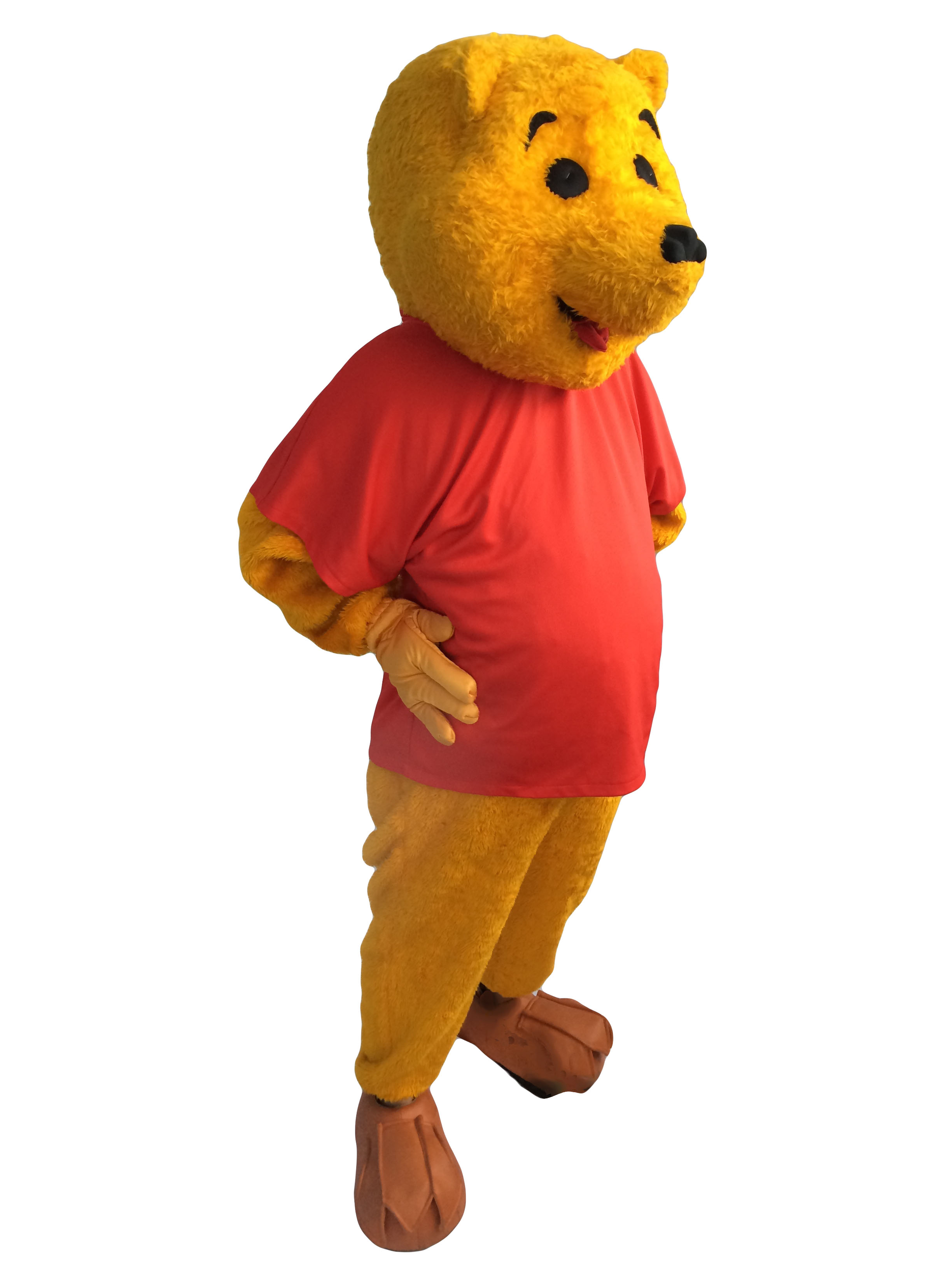 t shirt pooh