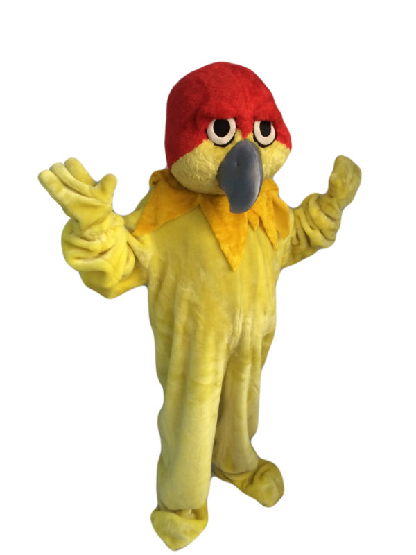 red parrot mascot