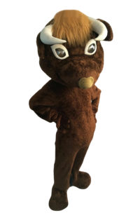 brown bull mascot