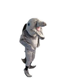 dolphin mascot