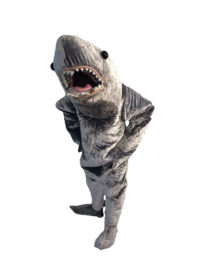 grey shark mascot