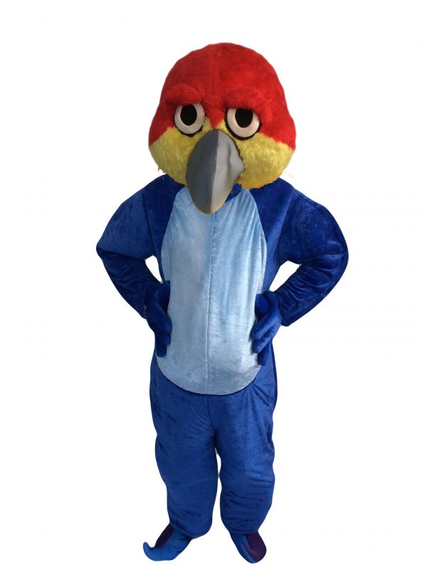 macaw mascot