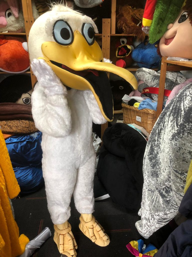 Pelican Mascot – Mascot Rental for Event & Children Party