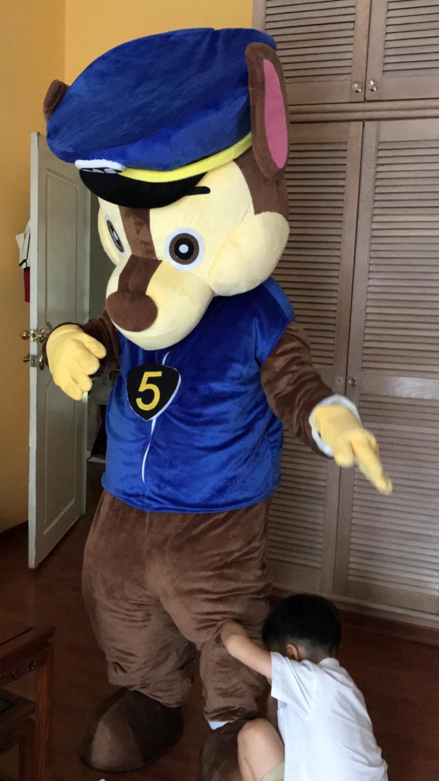 Paw Patrol Mascot Mascot Rental for Event & Children Party
