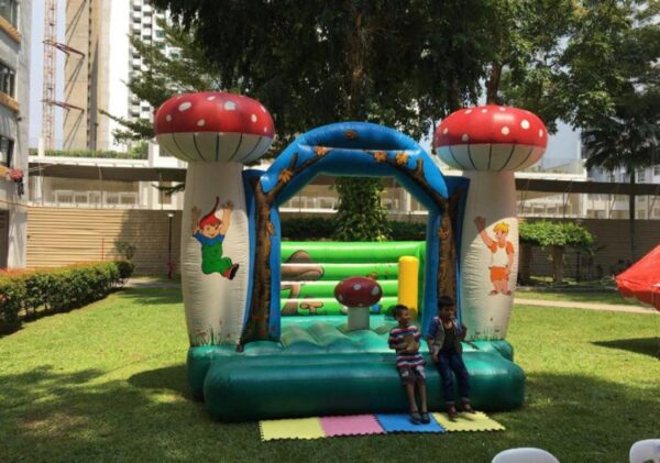 mushroom bouncy castle